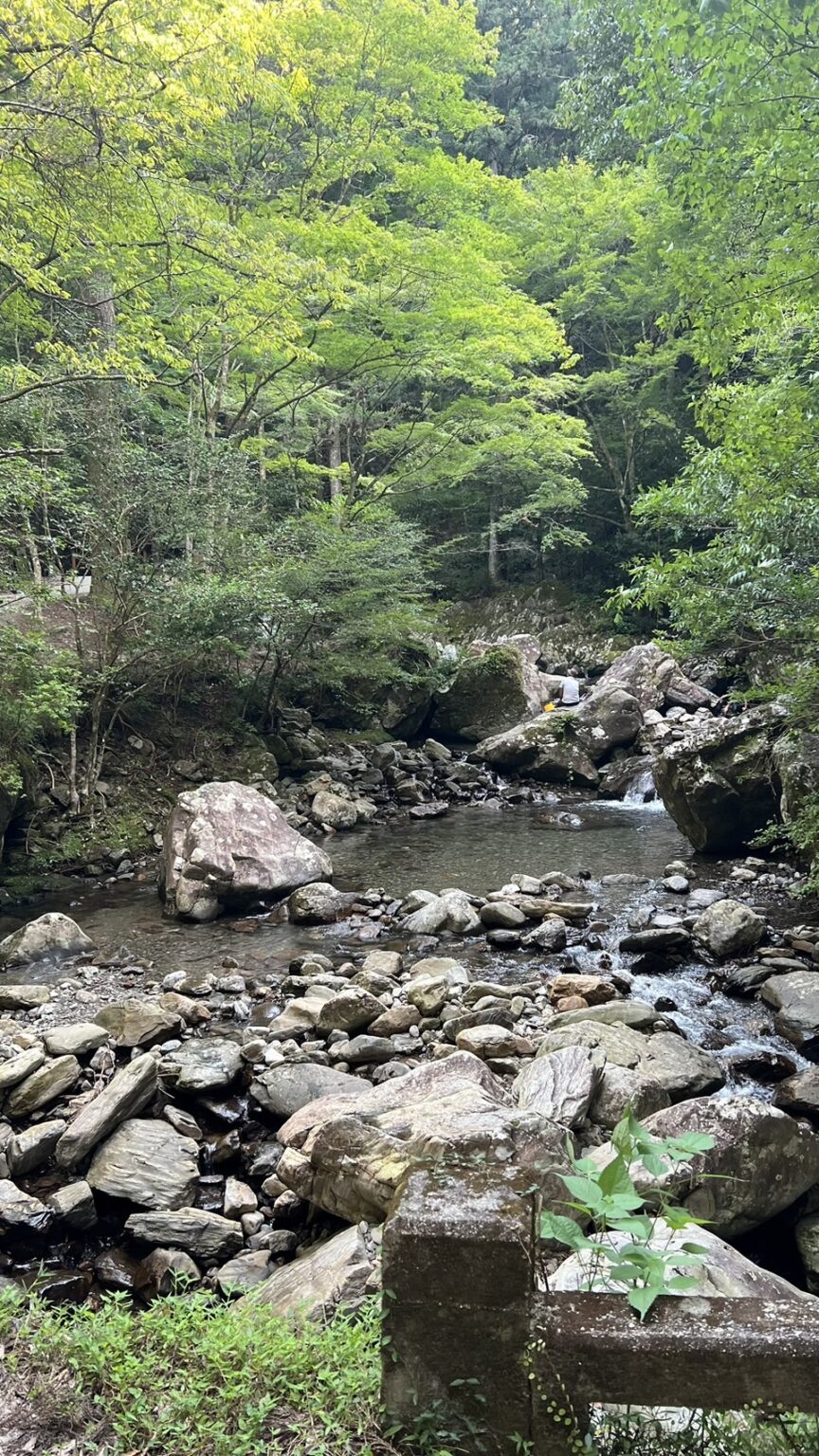 お口の夏対策 | 蒲郡市の歯医者|中村歯科医院